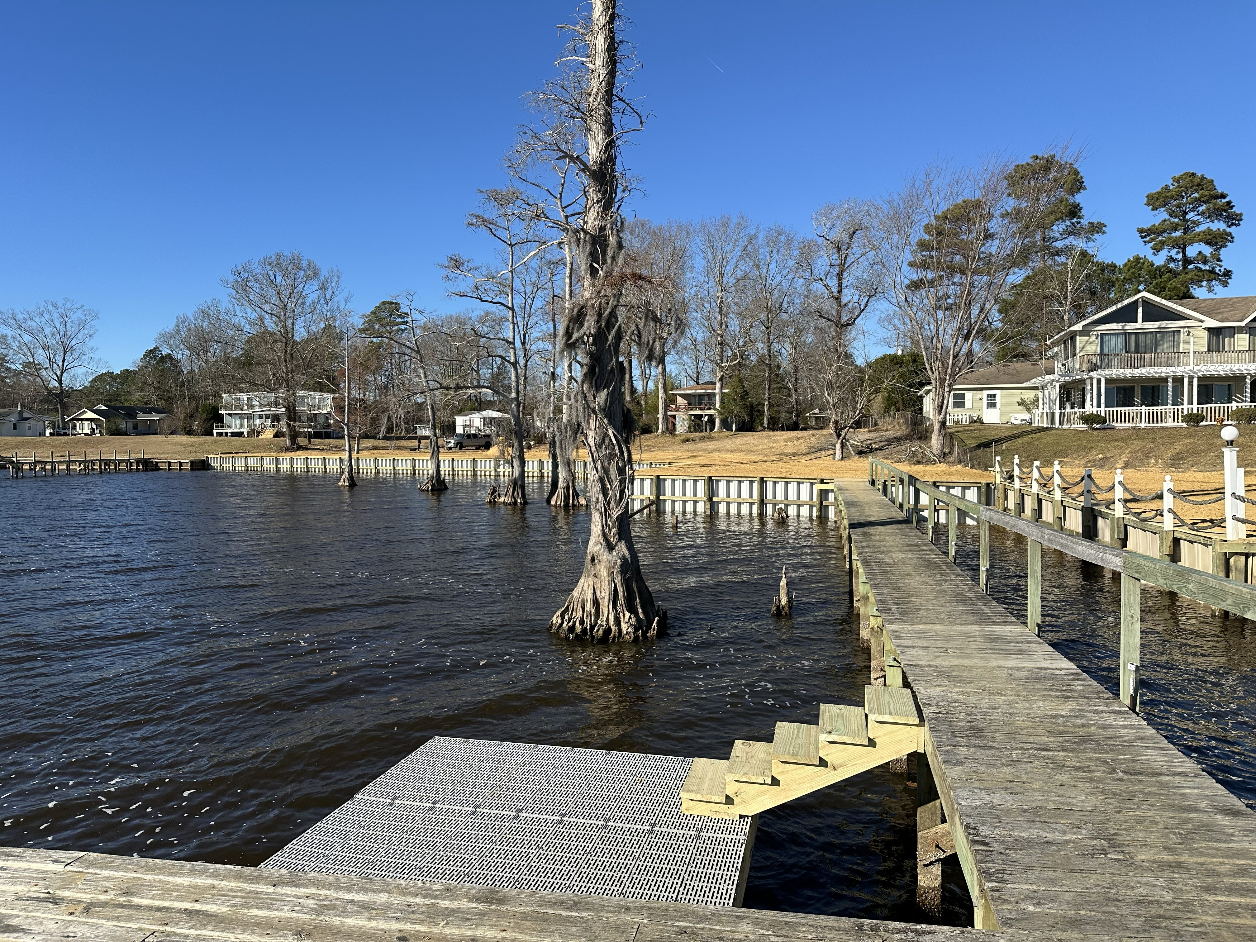 Expert roof framing underneath a pavilion